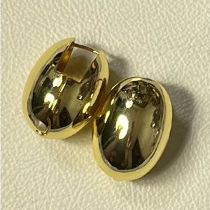 Gold Eggshell Shaped Earrings